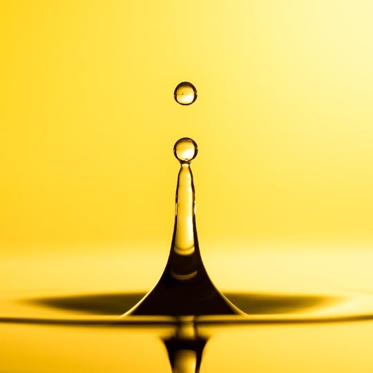 Buss-SMS-Canzler_Biodiesel